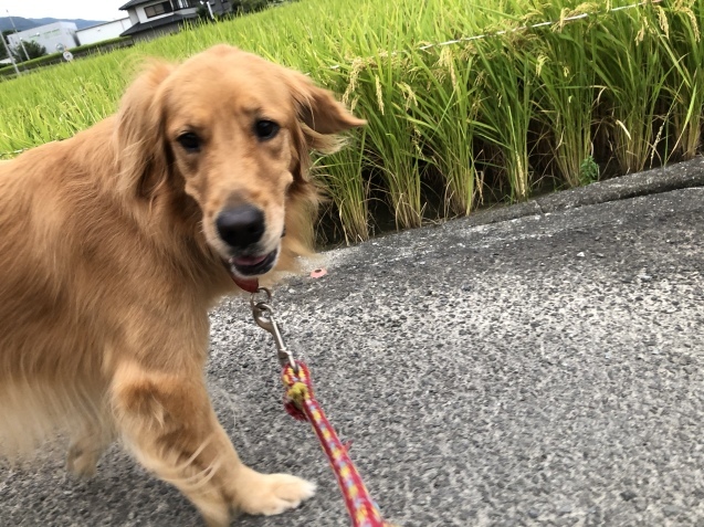 距離感。_a0394574_21105288.jpeg