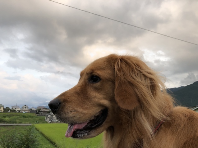 距離感。_a0394574_21120180.jpeg