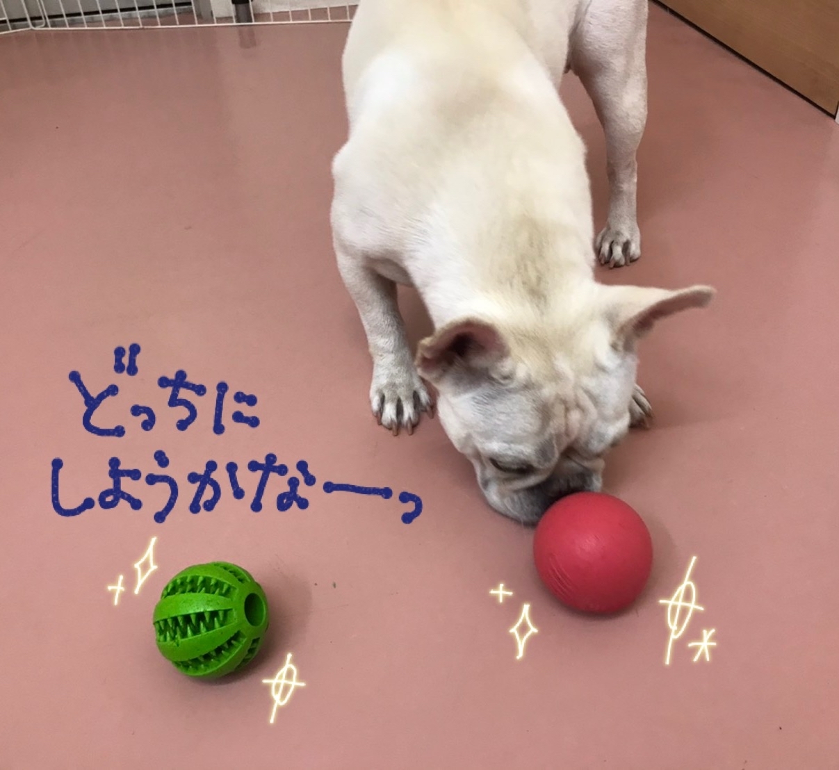 台風一過🌀🌀_f0357682_02385237.jpg