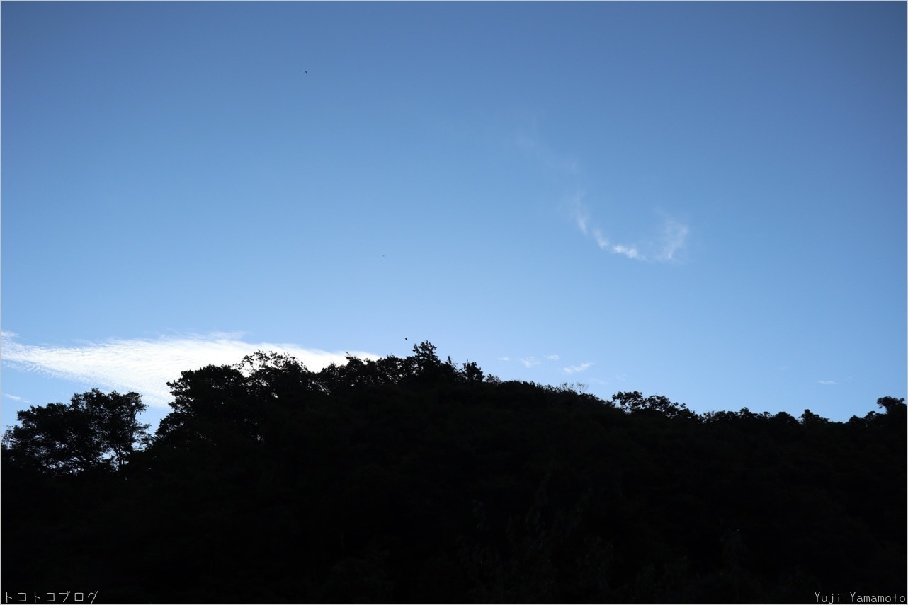 青い空 トコトコブログ 青い空 トコトコブログ