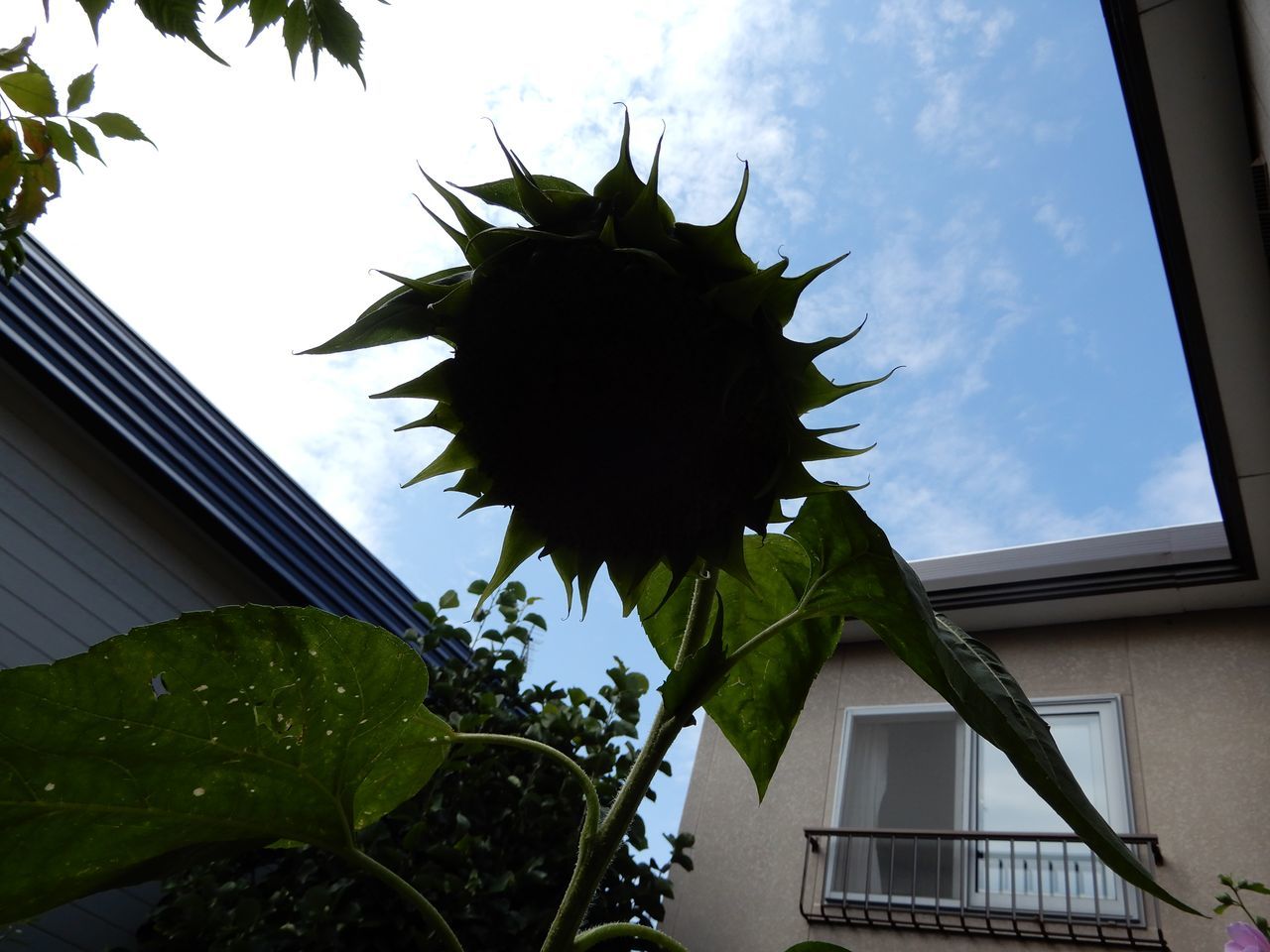 涼しい金曜日_c0025115_22065064.jpg