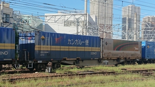 9/11隅田川着3054レのコキとコンテナ_f0203926_22443476.jpg