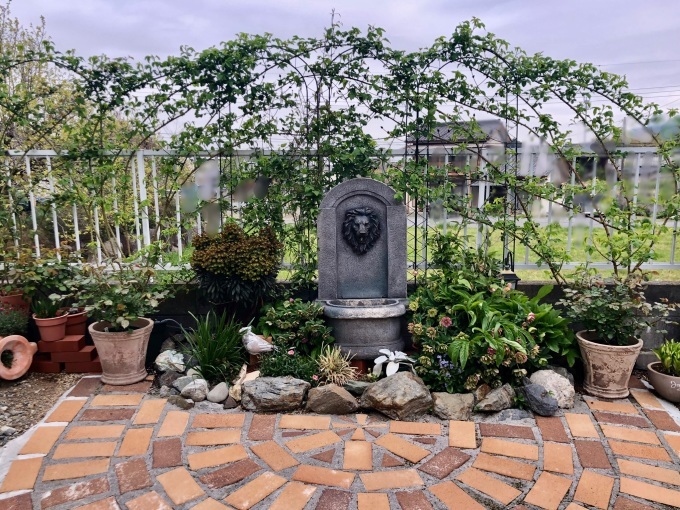 梅雨の長雨と夏の暑さで枯れてしまったお花達(T . T)_a0396654_21290500.jpeg