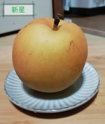 梨の家系図 ないものを あるもので 梨の家系図 ないものを あるもので