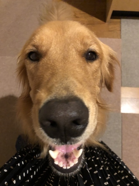 純真無垢。_a0394574_22152465.jpeg