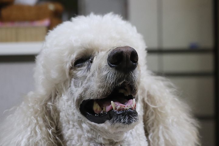 な なぁー