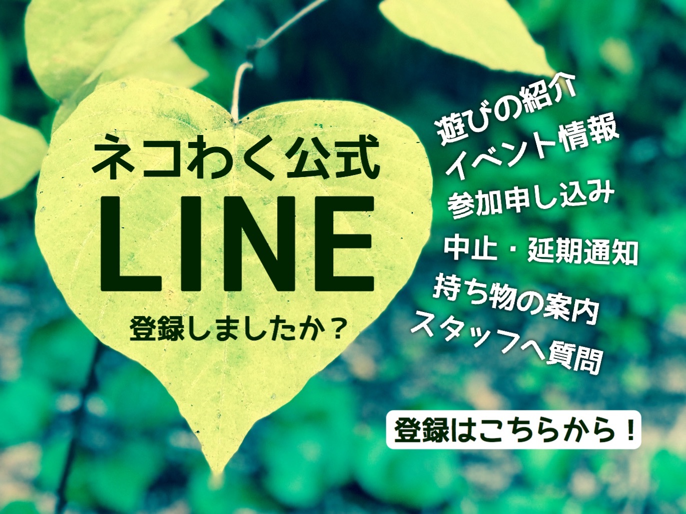 ネコわく公式LINE◆登録しましたか?どこよりも早く、ネコわくの最新のイベント情報やスタッフとのメッセージのやりとりが出来ます!_d0363878_20231536.jpg