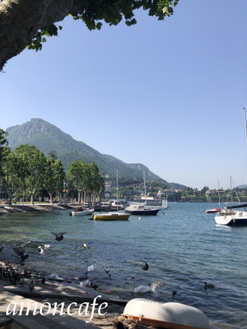 Italia日記 2_f0192411_12334556.jpg