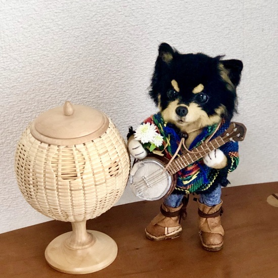 タロウが帰ってきました!_f0197215_11142517.jpeg