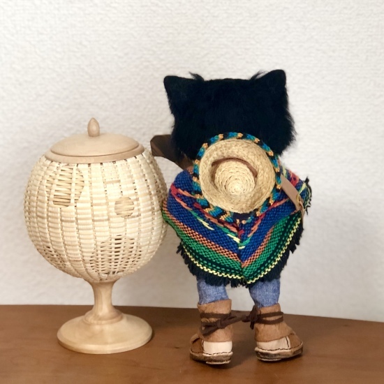 タロウが帰ってきました!_f0197215_11142546.jpeg