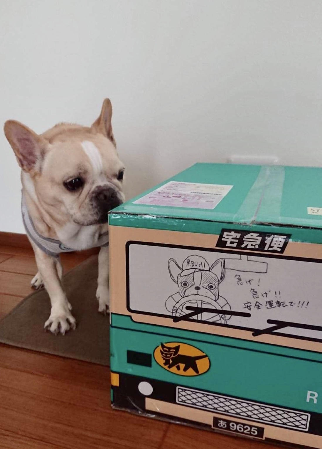 空ちゃん、配達ご苦労さま♪_b0307951_20213582.jpg