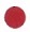 秋季展示会2020                               No.2050_d0103457_23215779.jpg