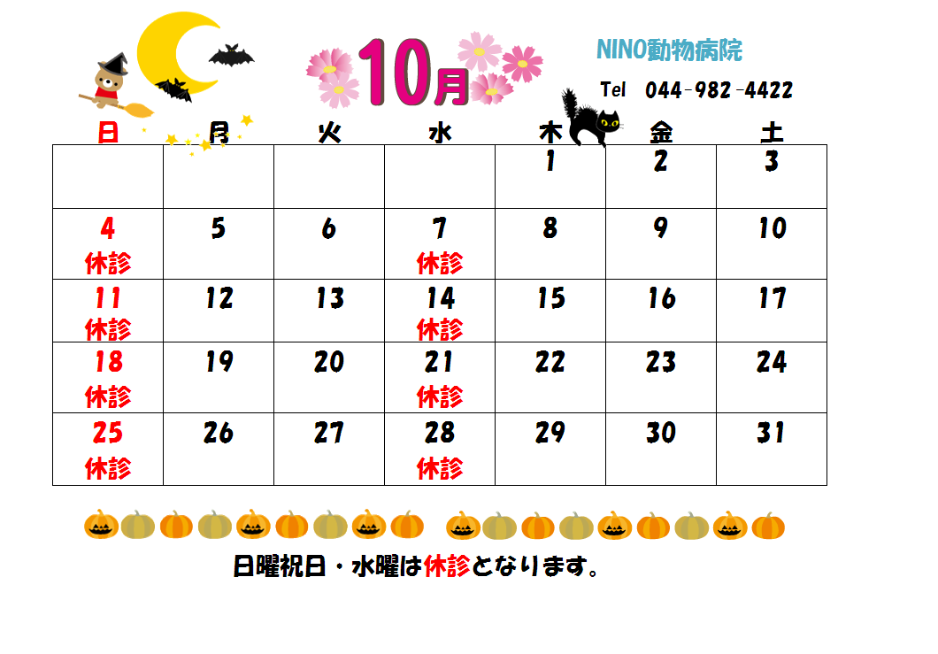10月の診療日のお知らせ☆_e0288670_11141526.png