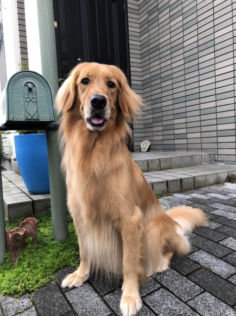 新しい朝。_a0394574_10360109.jpeg