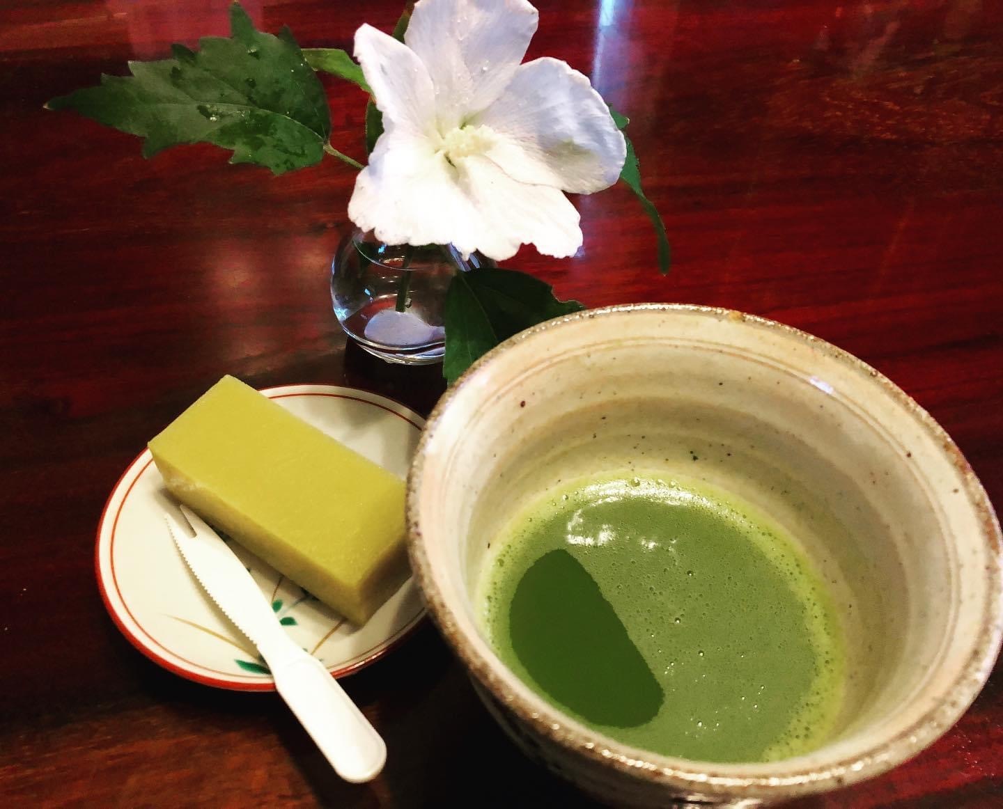 木槿_a0129492_08105727.jpeg