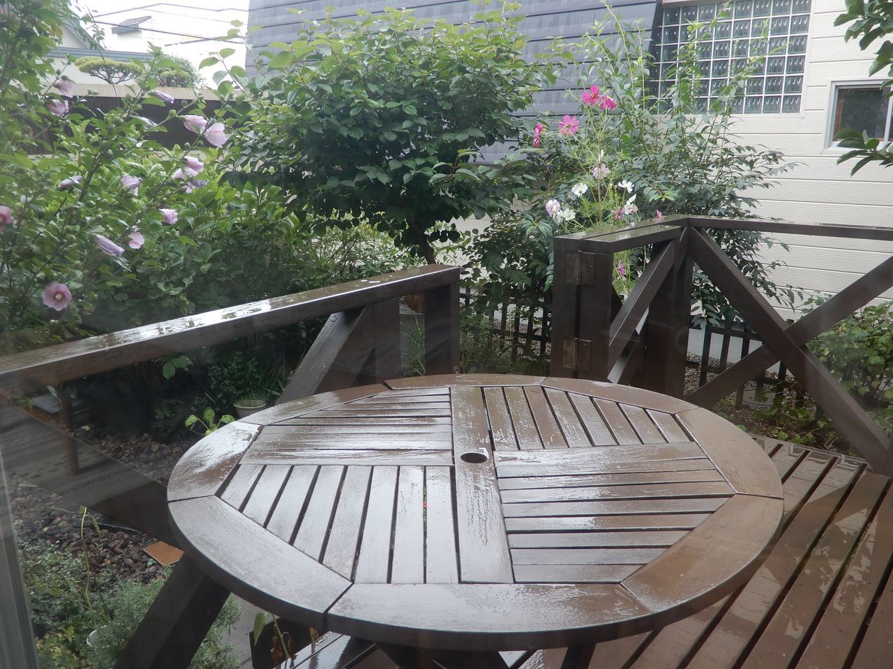 冷たい雨が降ったり止んだり_c0025115_21522274.jpg