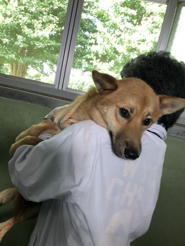 _f0078320_21112565.jpeg