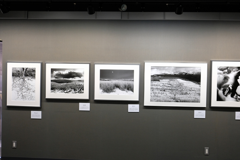ギャラリーかなざわ 2つのアクロス展 ただいま開催中_f0050534_22582939.jpg