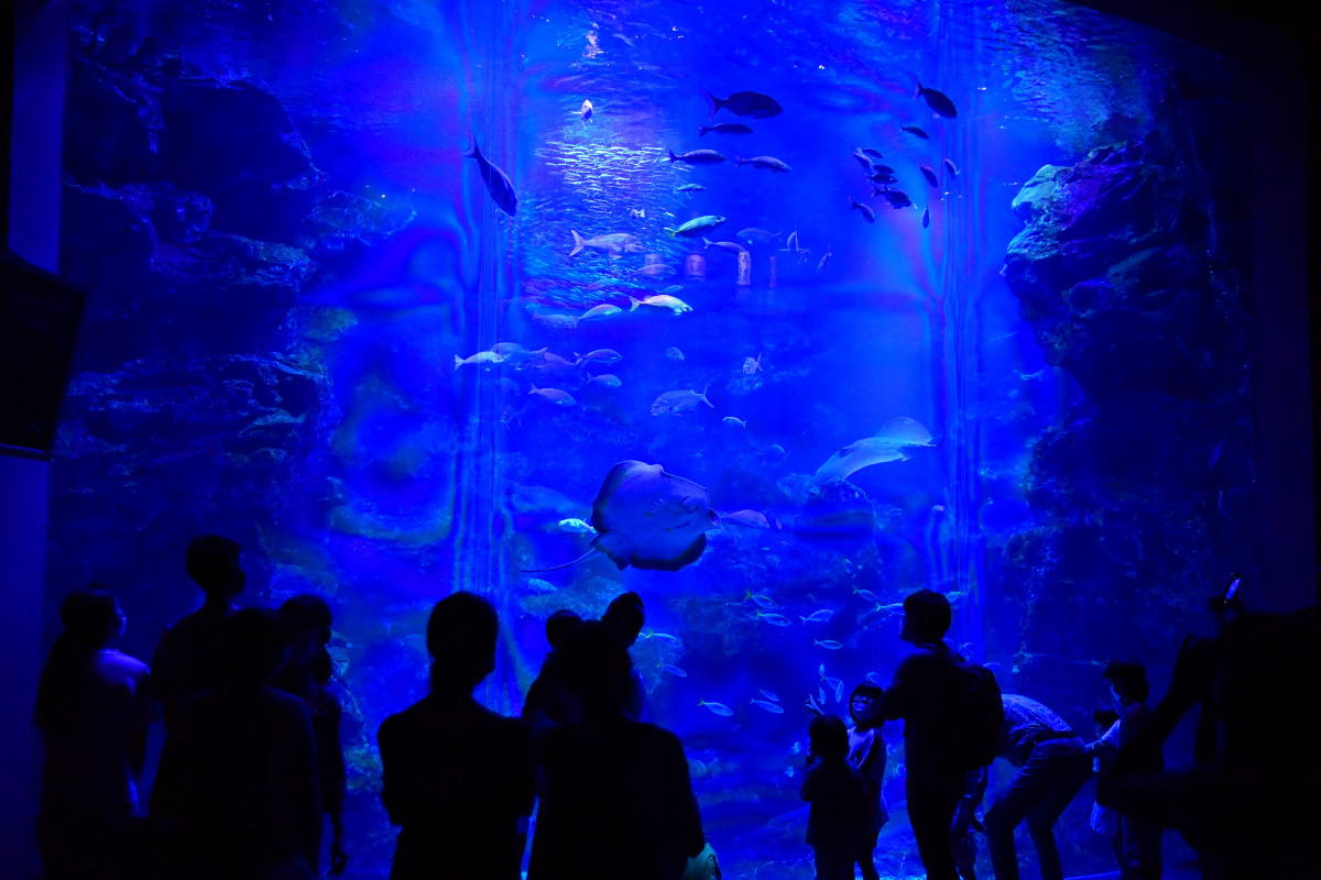 京都水族館_a0347635_09445637.jpg