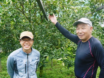究極の柑橘「せとか」 摘果作業と玉吊り作業 樹勢も良く来年活躍する新芽も元気に芽吹いてます!_a0254656_18163731.jpg