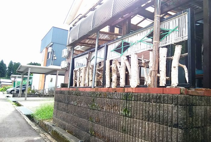 9 13 猛暑一転して雨模様 乾かない洗濯物には閉口 南葉情報探検隊