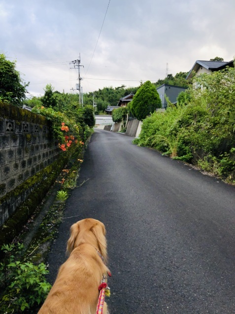 もう、午後に。_a0394574_14030135.jpeg