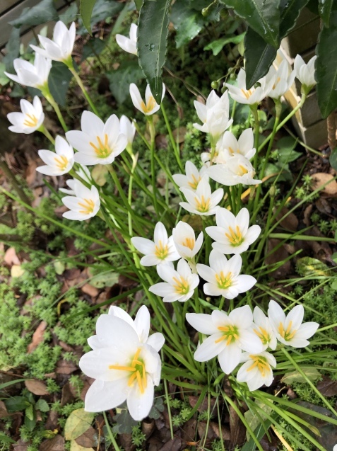 Help me,please._a0394574_20483094.jpeg