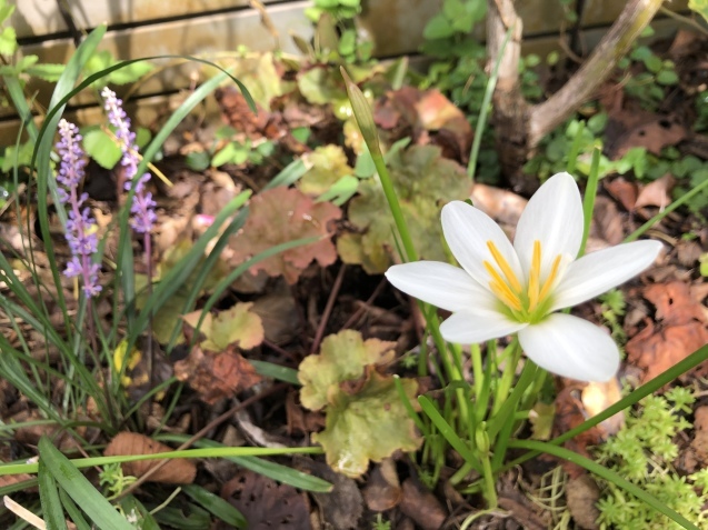 Help me,please._a0394574_20532617.jpeg