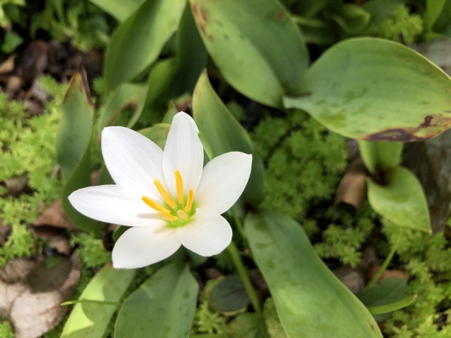 Help me,please._a0394574_20535212.jpeg