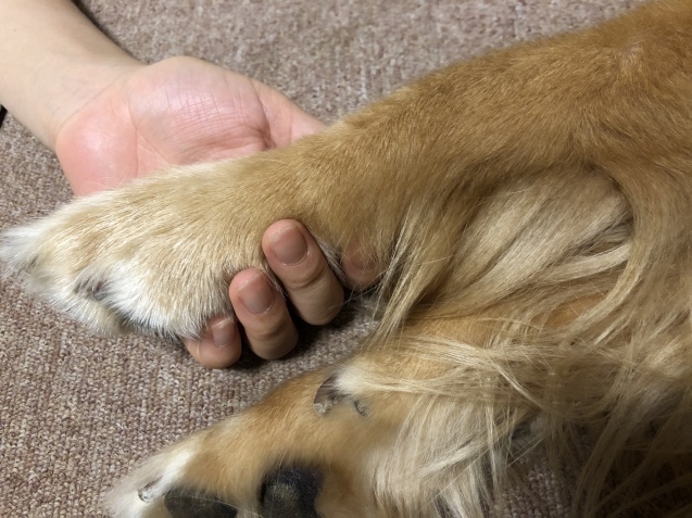 Help me,please._a0394574_20584476.jpeg