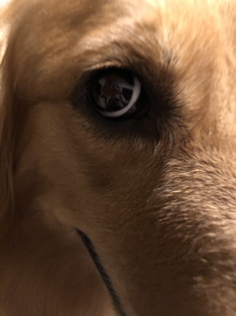 Help me,please._a0394574_21124385.jpeg