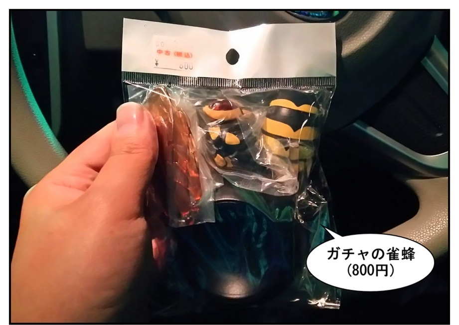 【ただの雑記】車載動画の収録(穴場発見…編)_f0205396_19174788.jpg
