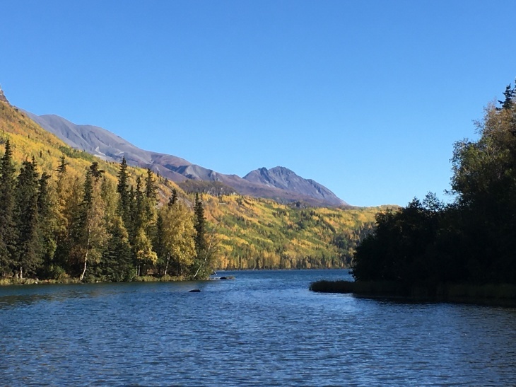紅葉のGlenn Highway_b0135948_14431974.jpg