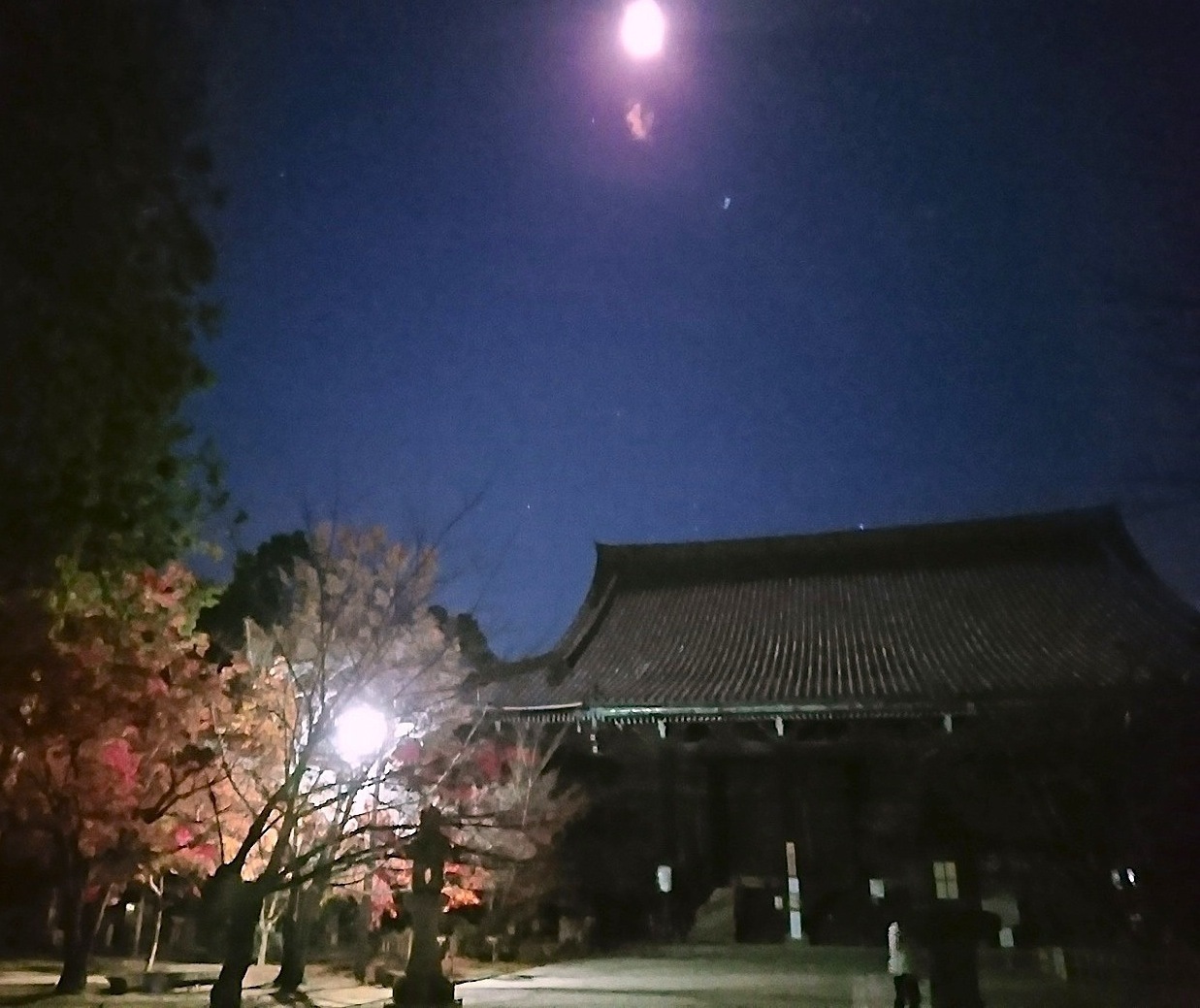 756、菅原一幸先生の急逝を悼む_e0323652_16161329.jpg