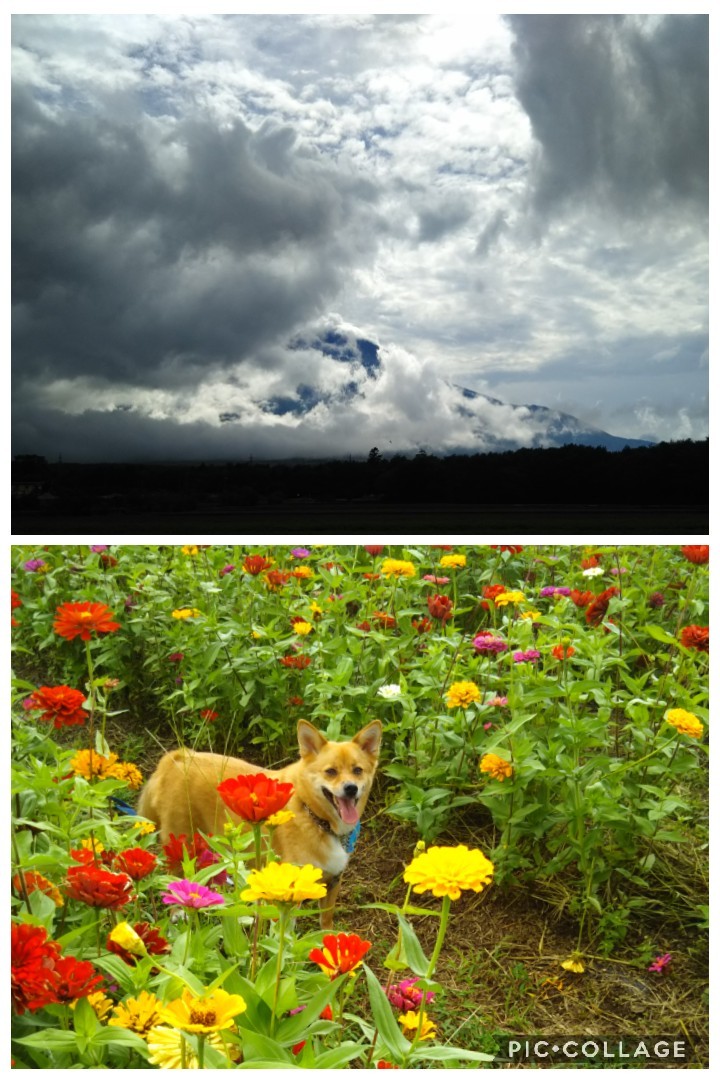 夏休み_f0095265_22230495.jpg