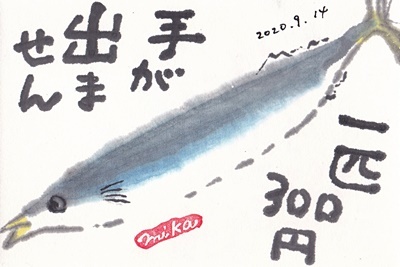 秋刀魚 さんま サンマ きゅうママの絵手紙の小部屋 秋刀魚 さんま サンマ きゅうママの絵手紙の小部屋