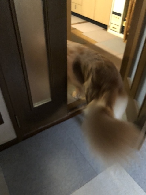 罹患。_a0394574_07191651.jpeg