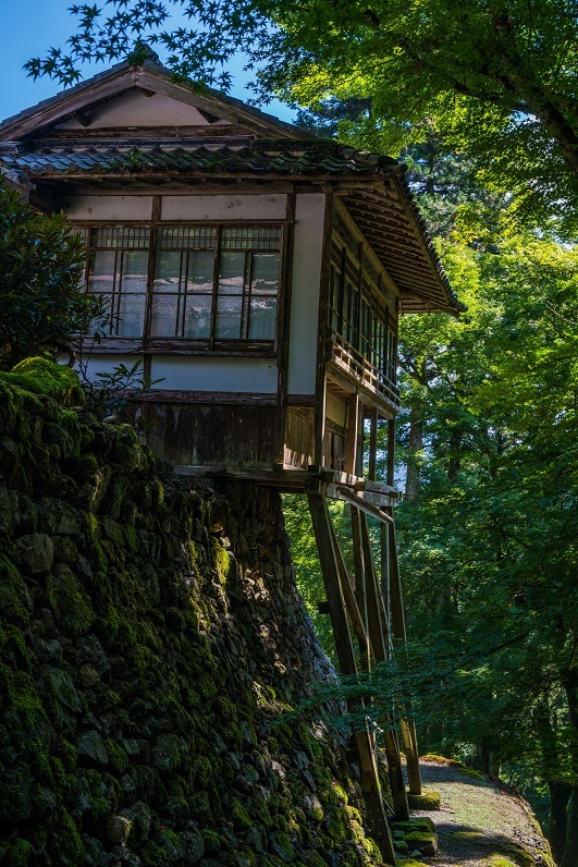 古知谷阿弥陀寺～秋海棠_e0363038_17595277.jpg