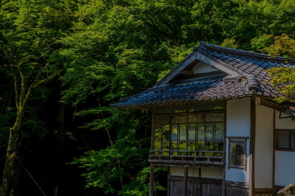 古知谷阿弥陀寺~秋海棠_e0363038_18000166.jpg