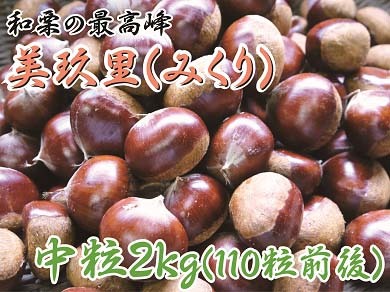 栗名人が育て上げた、和栗の最高峰『美玖里(みくり)』新規販売スタート!_a0254656_18342101.jpg
