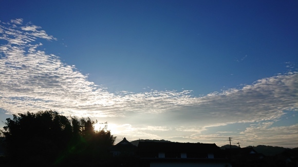 裏側にあるもの【閲覧注意】***_e0290872_12582038.jpg