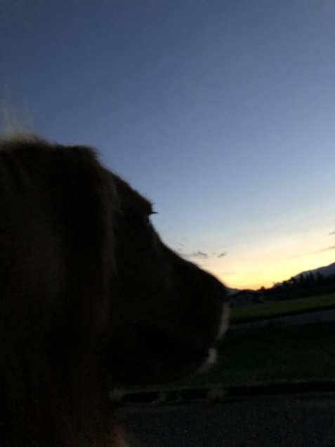 幻時間。_a0394574_20103115.jpeg