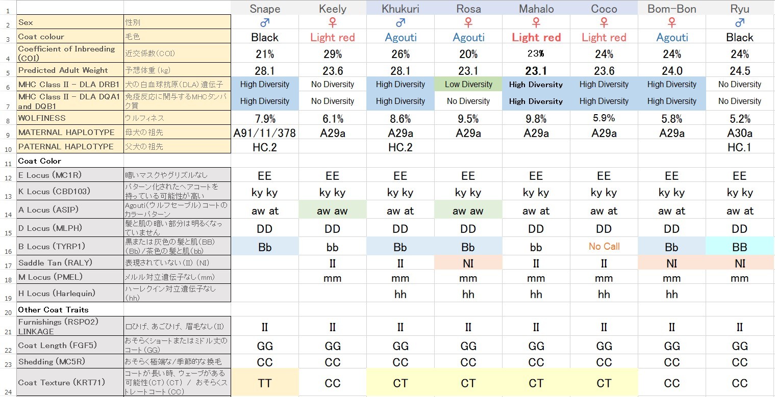 Dna検査結果から解ること ハスキーがやってきた