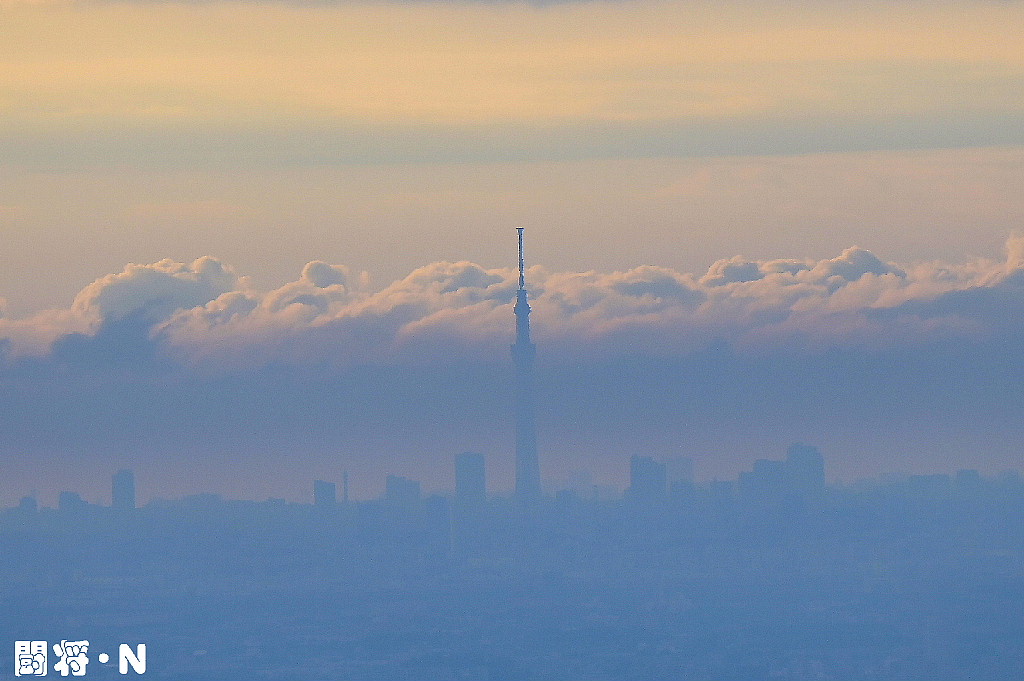 東京スカイツリーと筑波山 野鳥大好き 闘将 ｎ
