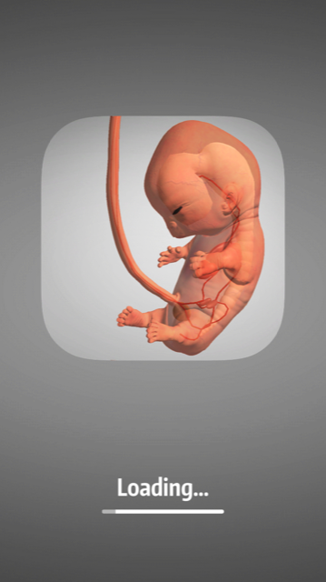 9 Months カントリーなアメリカから 9 Months カントリーなアメリカから