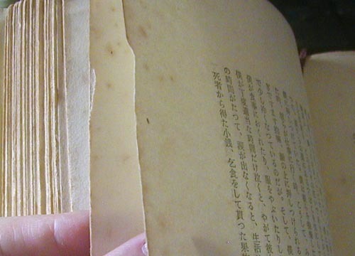 ●『種子』_d0053294_00510659.jpg