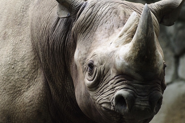 9/1 上野動物園 15カット_b0016600_09422905.jpeg