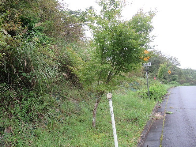 雷・雨の前にちょうど作業完了! 富士マウントライオンズクラブで「ふじ山夢ロード」の枝払い・清掃作業_f0141310_07234612.jpg