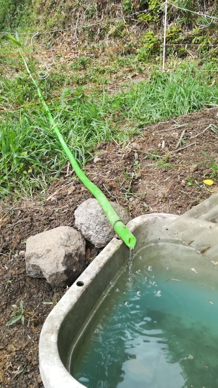 畑に水が来た_c0405911_23360432.jpg