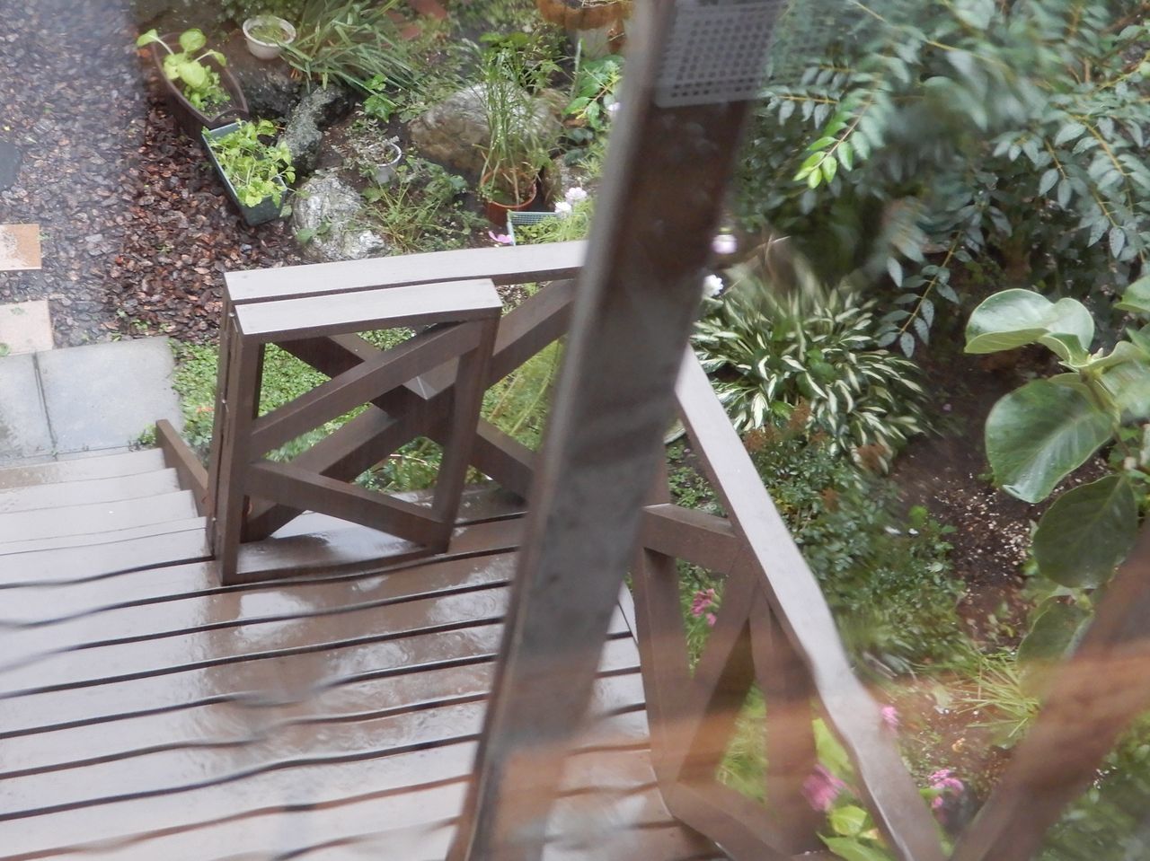 雨の朝から夏日へ_c0025115_22105638.jpg